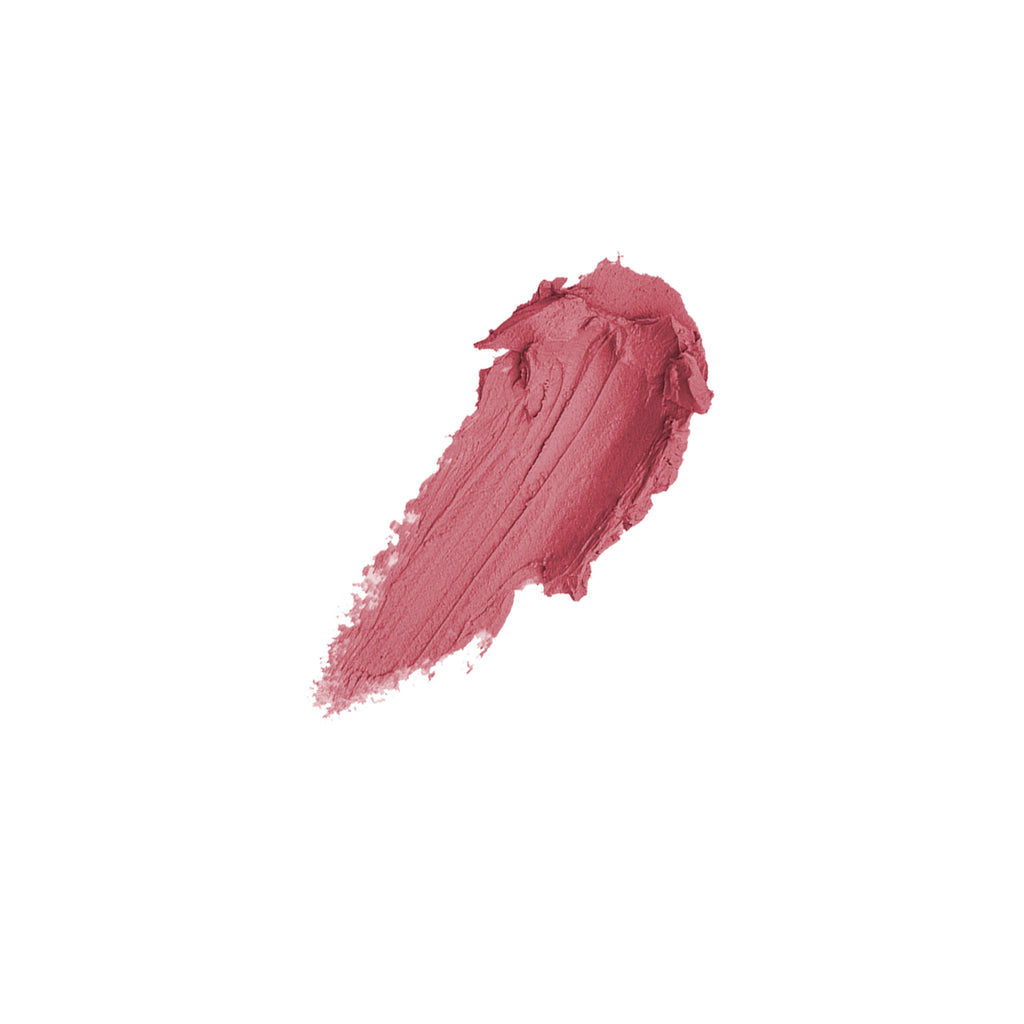 Essence Colour Boost Mad About Matte Liquid Lipstick 05