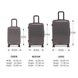 DKNY VINTAGE SIGNATURE Range Graphite & Cordavan Color Hard Luggage