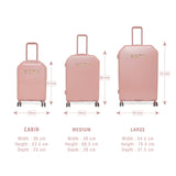 DKNY ALLORE  Range Dark Rose Color Hard  Luggage