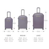 DKNY ALLORE  Range Violet Ash Color Hard  Luggage