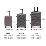 DKNY VINTAGE SIGNATURE Range Graphite & Cordavan Color Hard Luggage