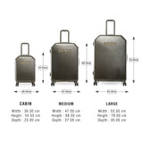 DKNY ALLURE 2.0 Range Ash Metallic Color Hard Case Abs Pc Film LUGGAGE
