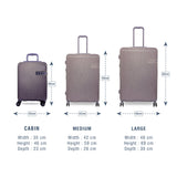 DKNY RAPTURE Range Violet Ash Color Hard Luggage
