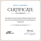 David Beckham Signature + Classic Blue + Beyond Deo Combo Set - Pack of 3