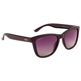 Equal Wayfarer Sunglasses with Purple Lens for Women