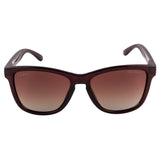 Equal Wayfarer Sunglasses with Brown Lens for Women