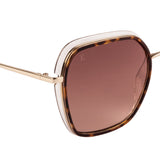 Xpres Oversized Sunglasses with Brown Lens for Women