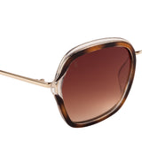 Xpres Oversized Sunglasses with Brown Lens for Women